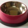 Colored Non-Slip Anti-Skid Bowls