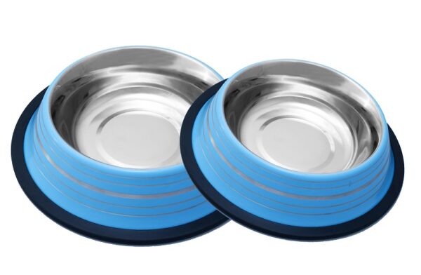 Colored Non-Slip Anti-Skid Bowls with Silver Linings